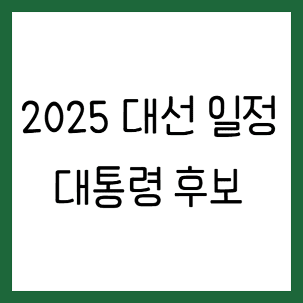 2025년 대선 일정 대통령 후보 여론조사