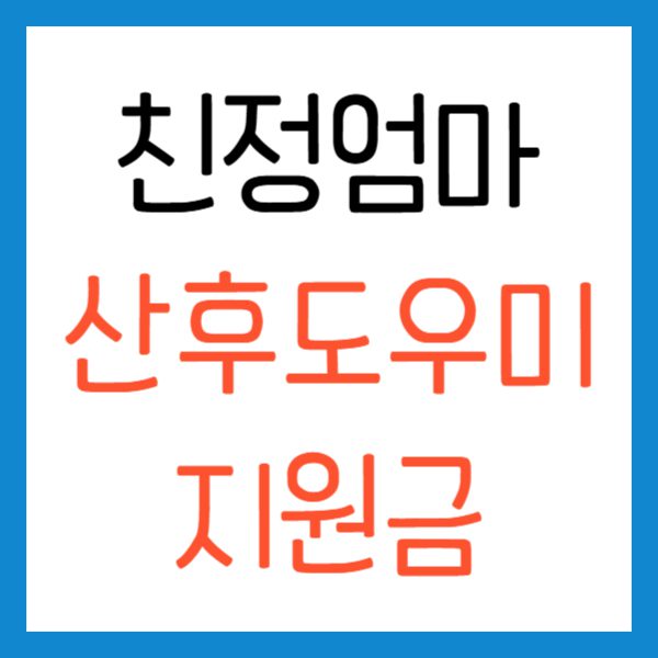 친정엄마 산후도우미 건강관리사