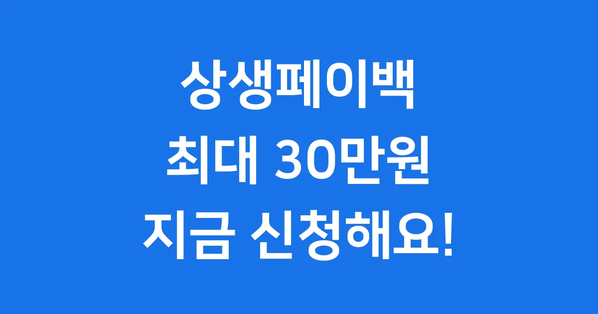 2025 상생페이백 신청방법 자격조건 총정리