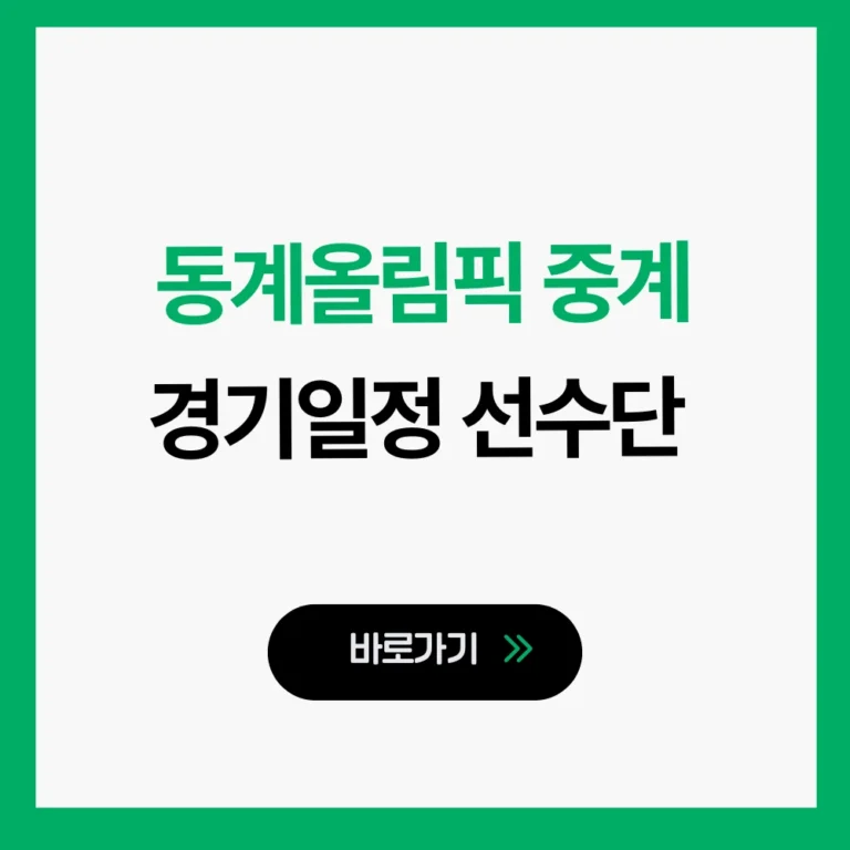 동계올림픽 중계