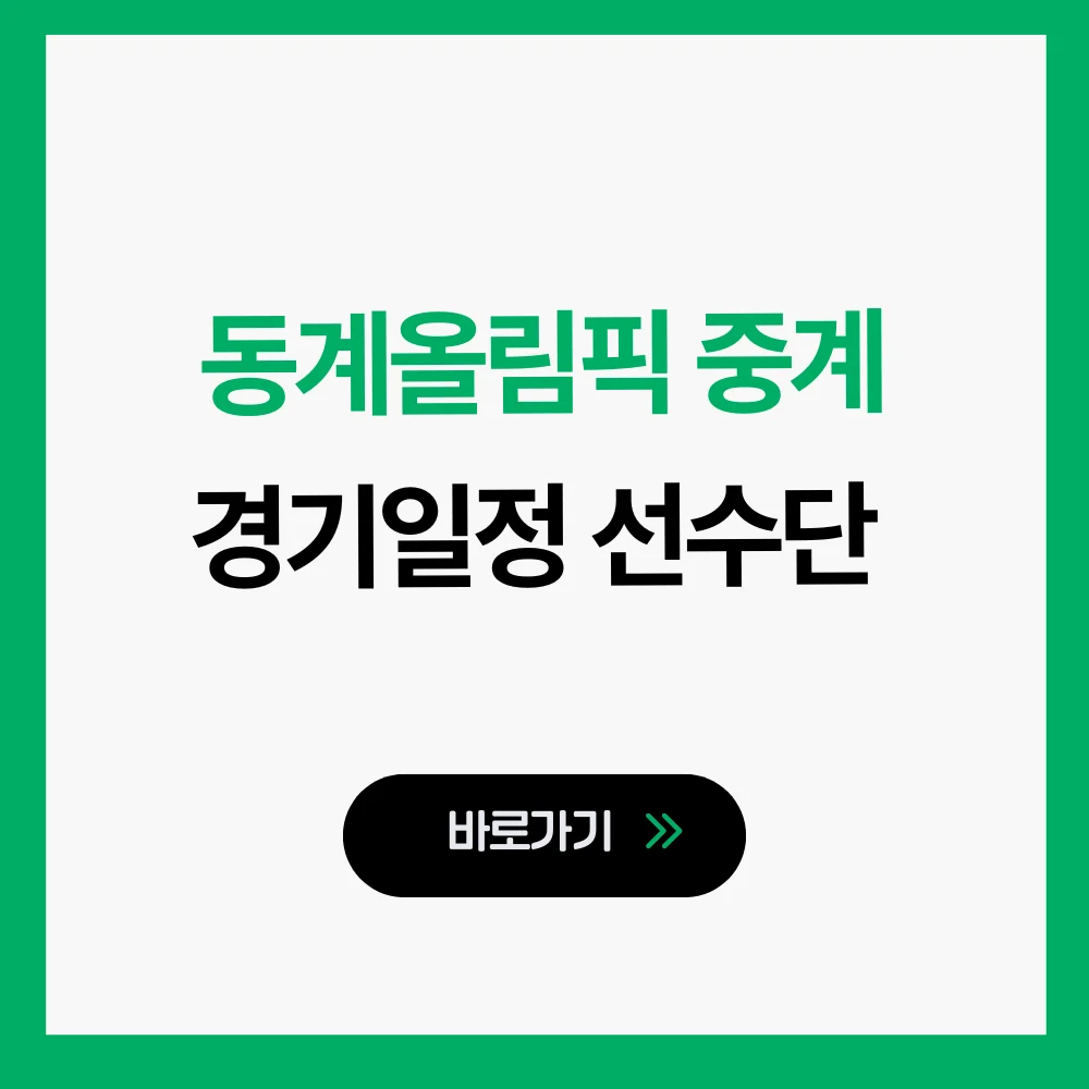 동계올림픽 중계