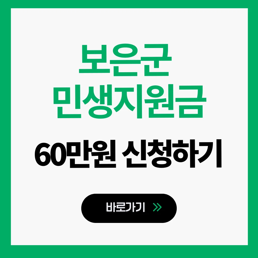 보은군 민생지원금