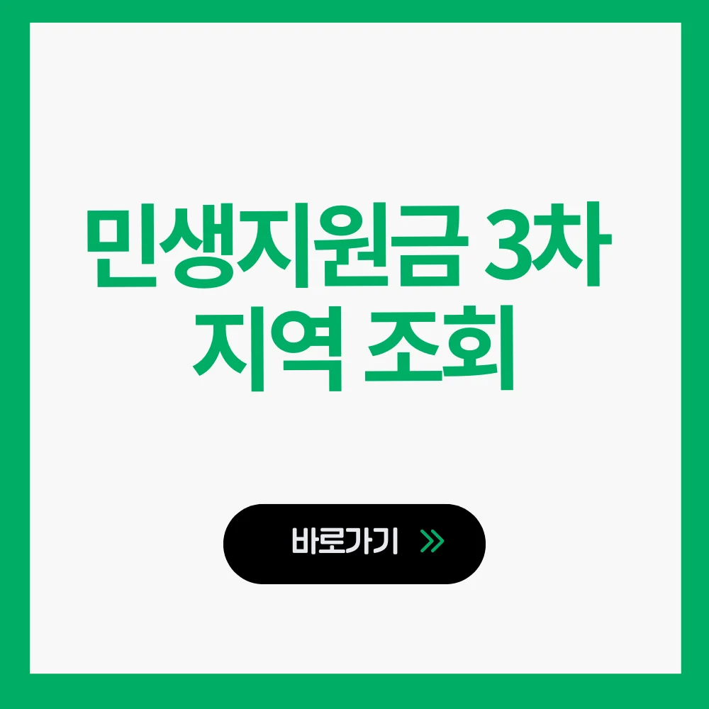 민생지원금 3차 지역확인방법