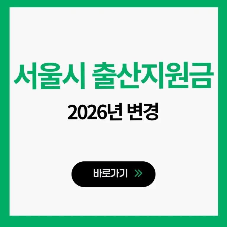 서울시 출산지원금 2026