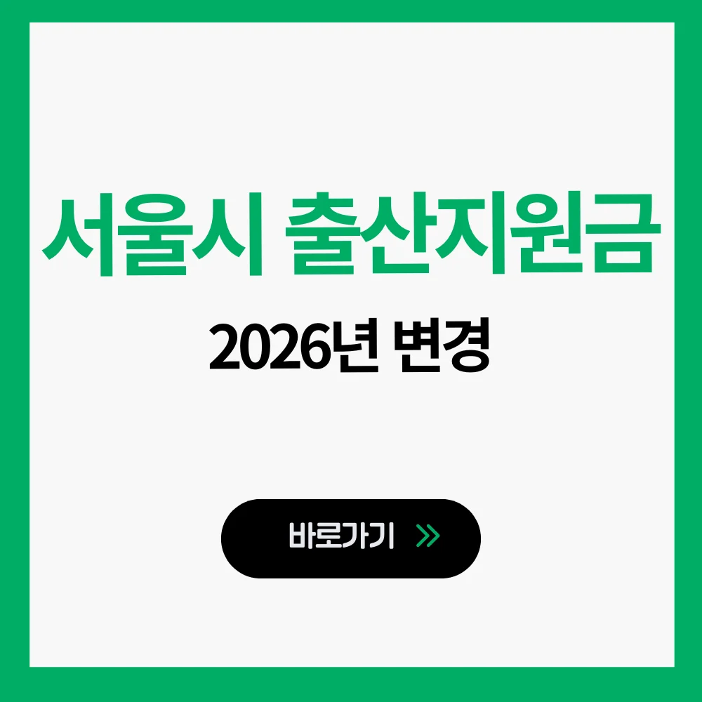 서울시 출산지원금 2026
