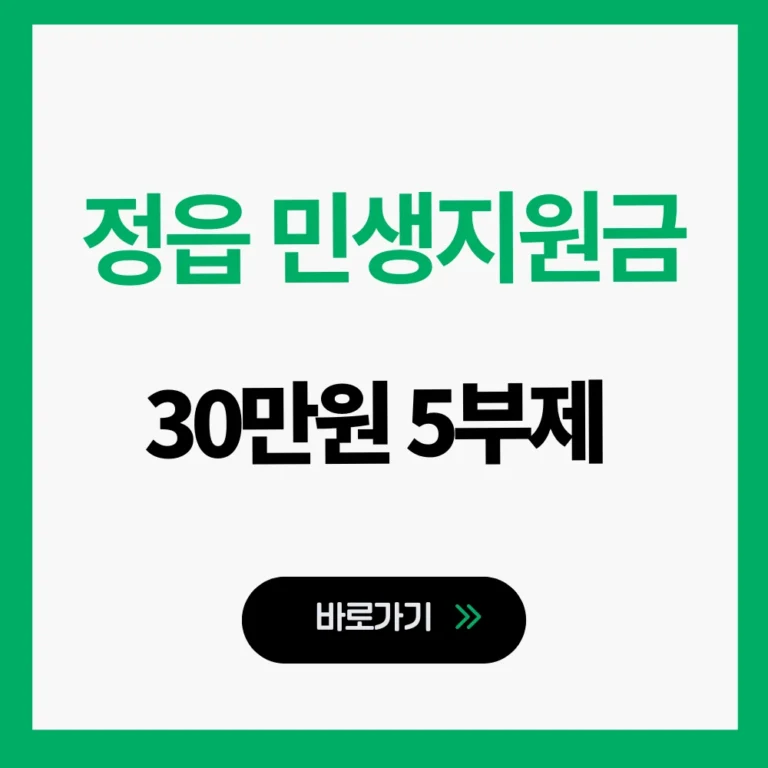 정읍 민생지원금