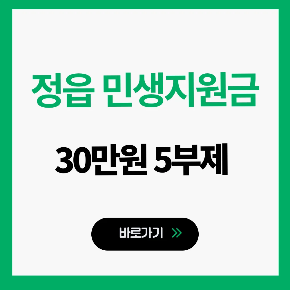 정읍 민생지원금