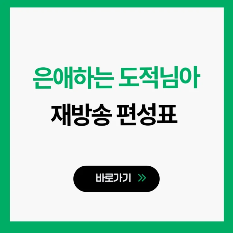 은애하는 도적님아 재방송