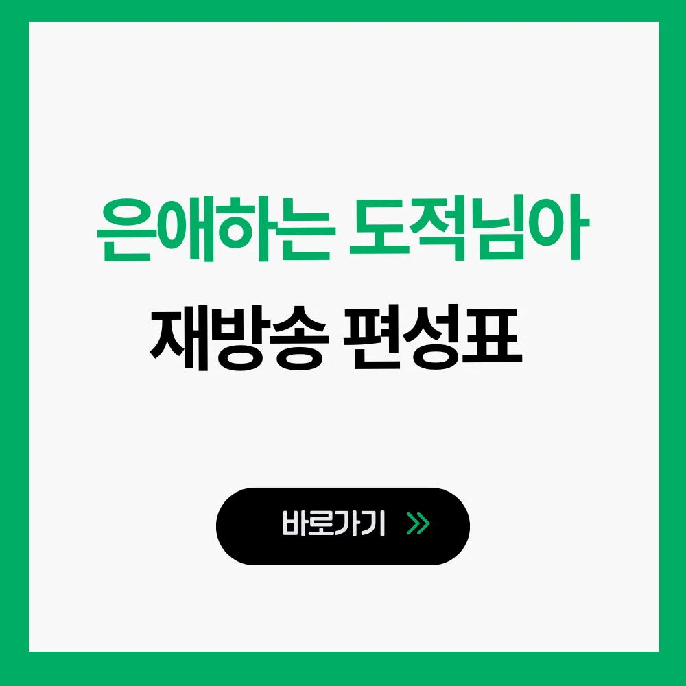 은애하는 도적님아 재방송