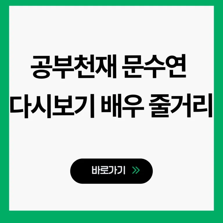 공부천재 문수연 다시보기