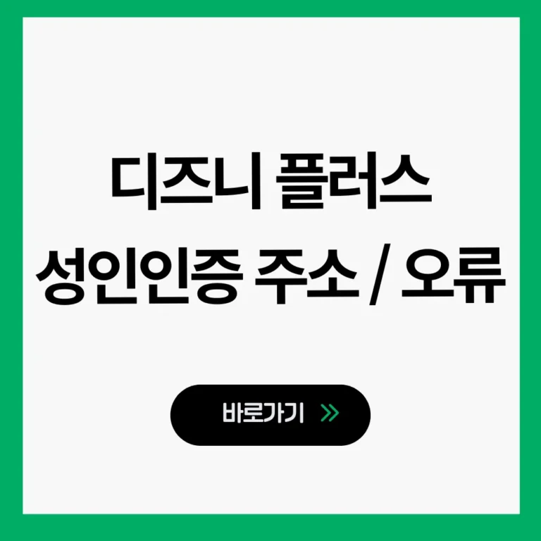 디즈니 플러스 성인인증