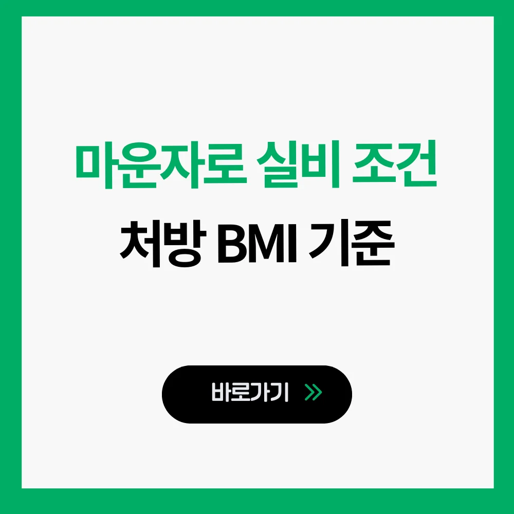 마운자로 실비 조건