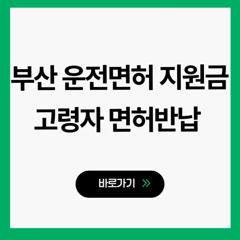부산 운전면허 지원금