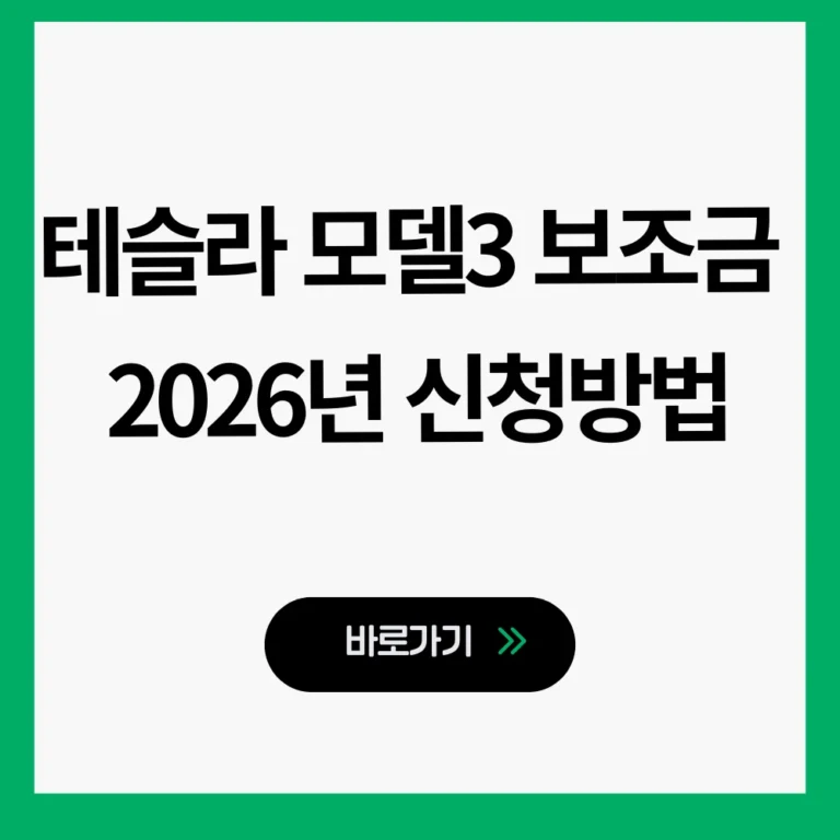 테슬라 모델3 보조금