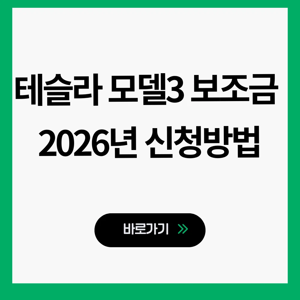 테슬라 모델3 보조금