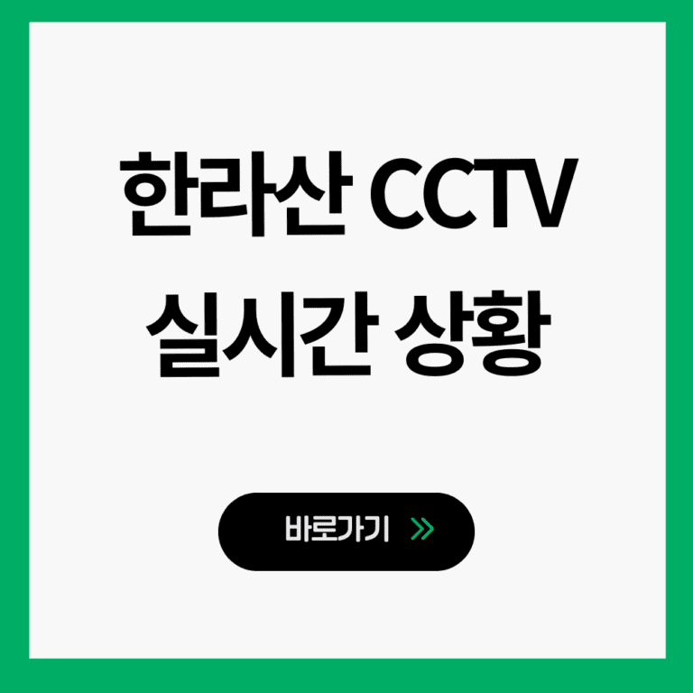한라산 CCTV 실시간