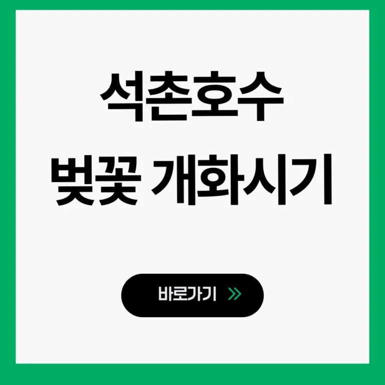 석촌호수 벚꽃 개화시기