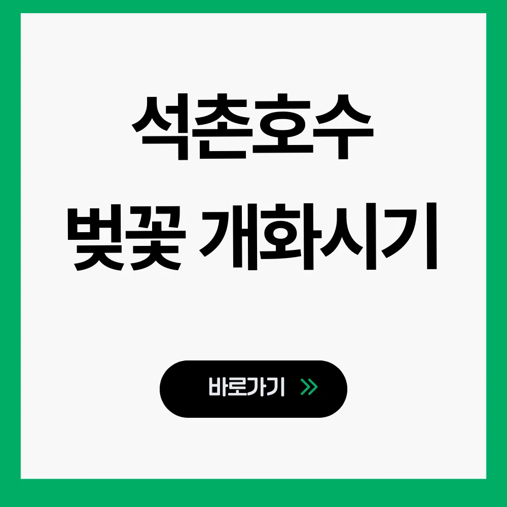 석촌호수 벚꽃 개화시기