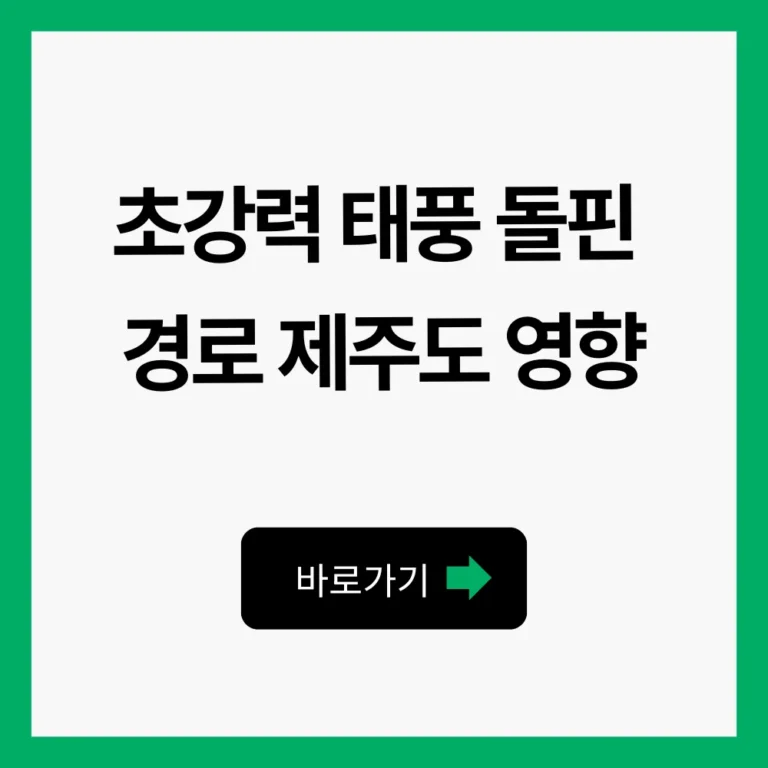 태풍 돌핀